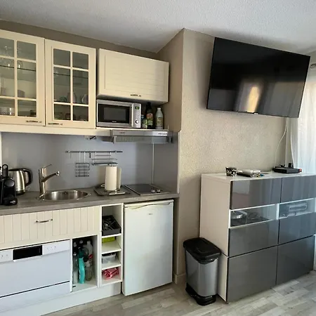 2 Pieces Avec Climatisation, Terrasse Et Parking Pres Des Plages - Fr-1-338-546 公寓 *