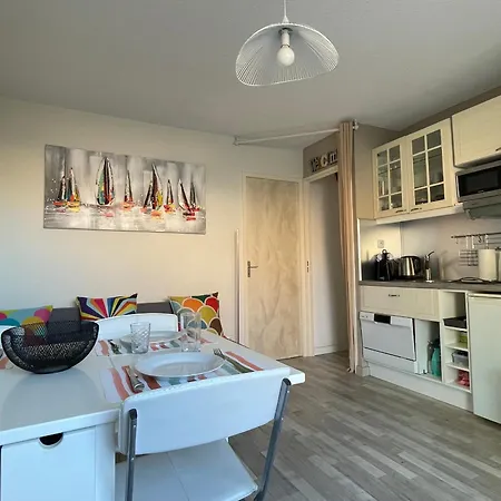 2 Pieces Avec Climatisation, Terrasse Et Parking Pres Des Plages - Fr-1-338-546 * 塞特港