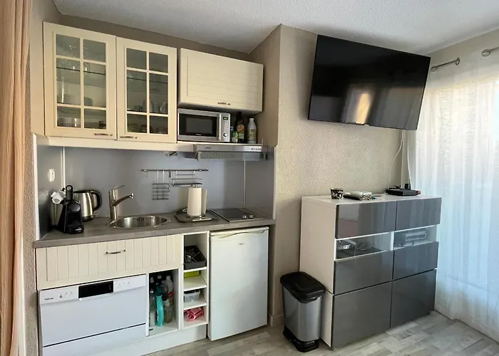 2 Pieces Avec Climatisation, Terrasse Et Parking Pres Des Plages - Fr-1-338-546 Lägenhet *