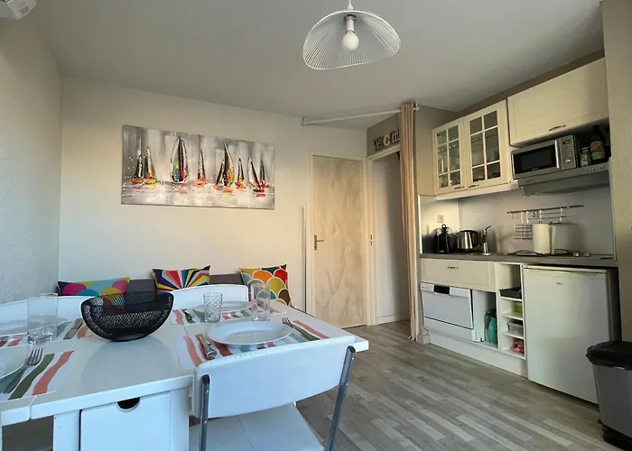 2 Pieces Avec Climatisation, Terrasse Et Parking Pres Des Plages - Fr-1-338-546 * Sète