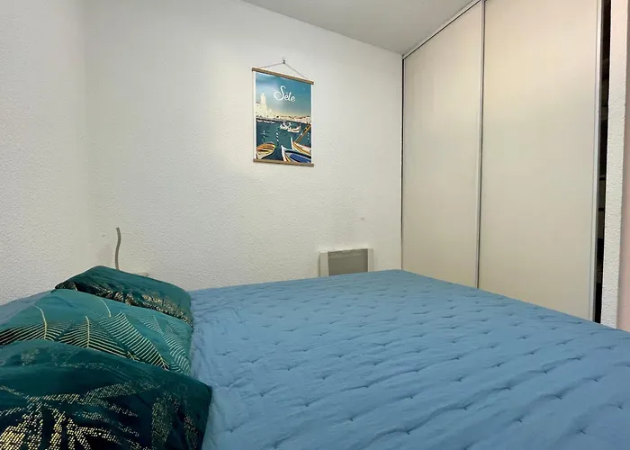 2 Pieces Avec Climatisation, Terrasse Et Parking Pres Des Plages - Fr-1-338-546 *