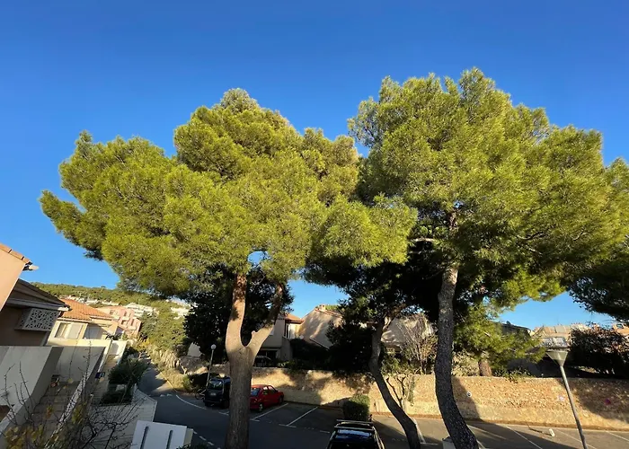 Lägenhet 2 Pieces Avec Climatisation, Terrasse Et Parking Pres Des Plages - Fr-1-338-546